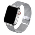 Silver Milanese 2024